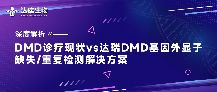 深度解析｜DMD診療現(xiàn)狀vs達(dá)瑞DMD基因外顯子缺失/重復(fù)檢測解決方案